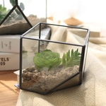 Ficha técnica e caractérísticas do produto Vidro Terrarium Cube Fairy Garden House Estufa Tamanho S
