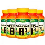 Ficha técnica e caractérísticas do produto Vitamina B3 (Niacina) - 5x 60 Cápsulas - Unilife