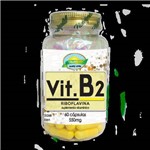Ficha técnica e caractérísticas do produto Vitamina B2 (Riboflavina) - 60 Cápsulas 550mg