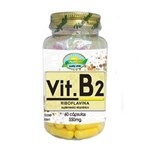 Ficha técnica e caractérísticas do produto Vitamina B2 Riboflavina 60 Cápsulas