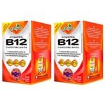 Ficha técnica e caractérísticas do produto Vitamina B12 Cianocobalamina - 2x 120 Cápsulas - Katigua