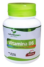 Ficha técnica e caractérísticas do produto Vitamina B6 500mg com 40 Cápsulas