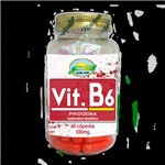 Ficha técnica e caractérísticas do produto Vitamina B6 (Piridoxina) - 60 Cápsulas 550mg