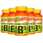 Ficha técnica e caractérísticas do produto Vitamina B9 (Ácido Fólico) - 5 un de 60 Cápsulas - Unilife