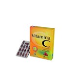 Ficha técnica e caractérísticas do produto Vitamina C Terra Verde - Sanibras - 30 Caps.