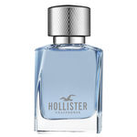 Ficha técnica e caractérísticas do produto Wave For Him Hollister - Perfume Masculino - Eau De Toilette