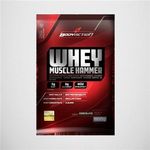 Ficha técnica e caractérísticas do produto Whey Muscle Hammer 900g - Bodyaction - Morango