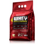 Ficha técnica e caractérísticas do produto Whey Muscle Hammer Body Action 1,8kg