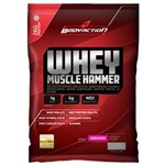 Ficha técnica e caractérísticas do produto Whey Muscle Hammer - Body Action