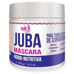 Ficha técnica e caractérísticas do produto Widi Care Juba Máscara Hidro-Nutritiva