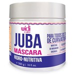 Ficha técnica e caractérísticas do produto Widi Care Juba - Máscara Hidro-Nutriva 500g