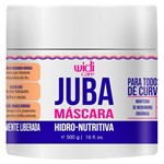Ficha técnica e caractérísticas do produto Widi Care Juba - Máscara Hidro-Nutriva