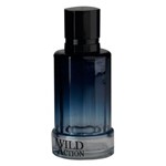 Ficha técnica e caractérísticas do produto Wild Action Real Time Perfume Masculino - Eau de Toilette 100ml