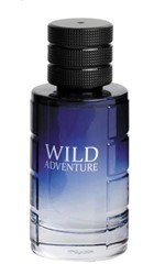 Ficha técnica e caractérísticas do produto Wild Adventure Masculino Eau de Toilette 100ml - Linn Young