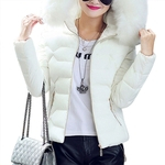 Ficha técnica e caractérísticas do produto Redbey Womens Inverno Ladies casaco jaqueta cabelo colarinho acolchoado quente com capuz Outwear Top