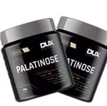 Ficha técnica e caractérísticas do produto 2x Palatinose 400g - Dux Nutrition