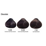 Ficha técnica e caractérísticas do produto Yellow Ye Color Tintura Chocolate 60ml - 6.53 Louro Esc.Acaju Dour