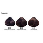 Ficha técnica e caractérísticas do produto Yellow Ye Color Tintura Chocolate 60ml - 7.53 Louro Acaju Dourado