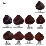 Ficha técnica e caractérísticas do produto Yellow Ye Color Tintura Red 60ml - 4.65 Cast.Vermelho Acaju